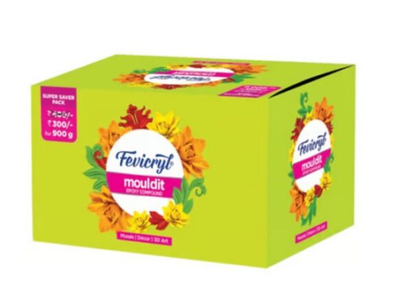 Fevicryl Mould It Clay 90gm