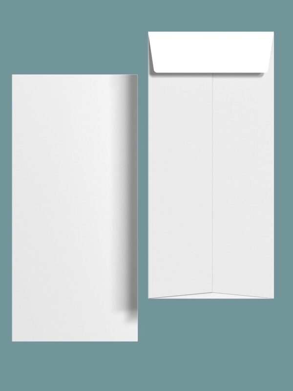 White Paper Envelopes 27x11 cm