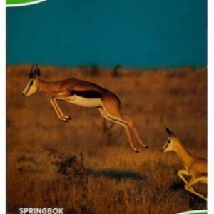 Classmate Math Notebook 0.5-inch x 0.5 inch