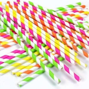 Paper Drinking Straws Disposable-Pack of 6