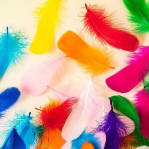 Feathers/Phank for Arts & craft