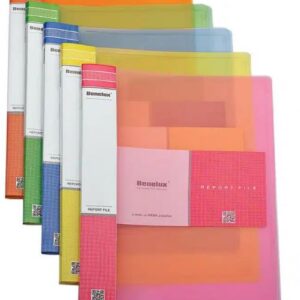 4 -Size Transparent Multicolour Report File
