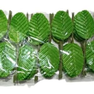 Plastic Artificial Leaves and Stem For School Project Work